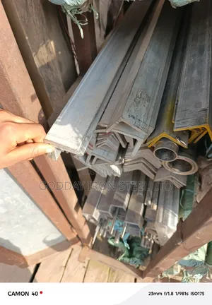 Stealess Steel Iron