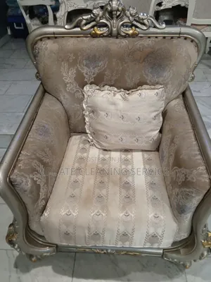 Book for Mattress, Chair Sofa Odour Removal – 100% Safe Effective