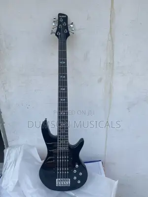 Wellsound Active 5 Strings Bass Guitar