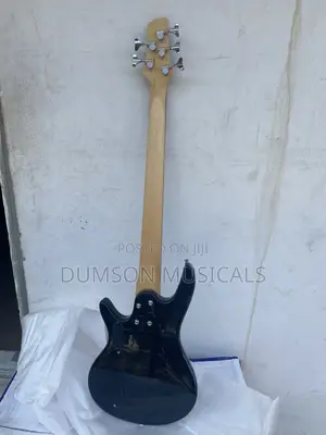 Wellsound Active 5 Strings Bass Guitar