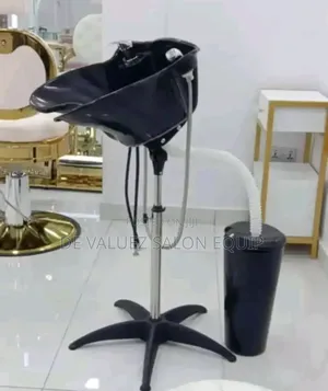 Standing Washing Hair Basin