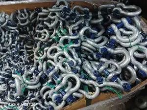 Shackles for Lifting