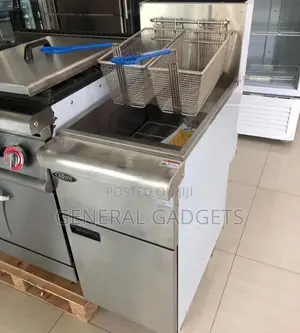 20 Liters Double Basket Gas Deep Fryer