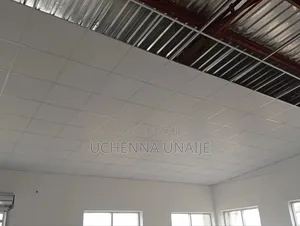 Uchenna Suspended Ceiling