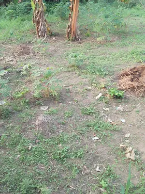 Lovely Dry Plot Of Land Available