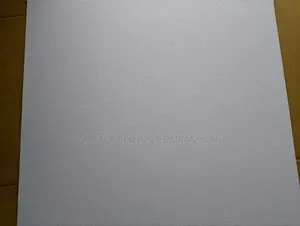 Quality Suspended Ceiling Material and Plaster Board