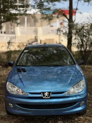 Peugeot 206 2008 Blue