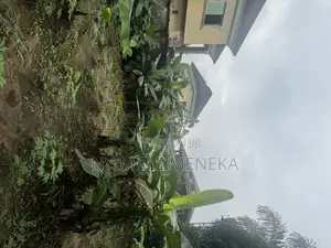 Fenced and Gated 1plot of Dry Land