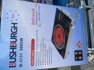 3000w Bushburgh Hot Plate