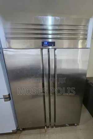 Upright 2 Door Industrial Freezer