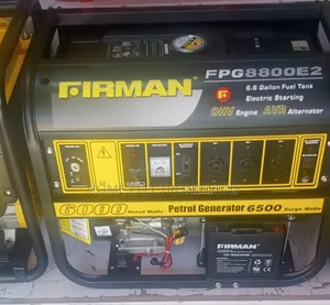 Firman Generator Fpg 8800 E2