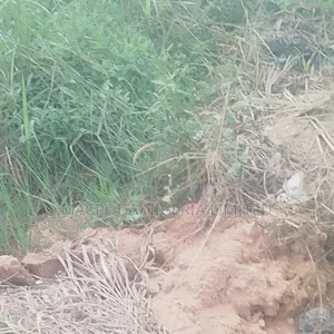 Well Secured Land Available for Sale