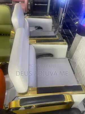 Styling Chair/Saloon Chair