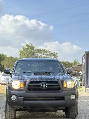 Toyota Tacoma Double Cab V6 Automatic 2010 Gray