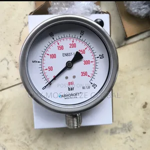 Pressure Gauge (0-25bar/100mm)
