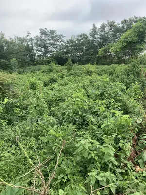 Prime Land of 2 Acres of Land at Egbeda