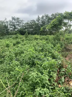 Prime Land of 2 Acres of Land at Egbeda