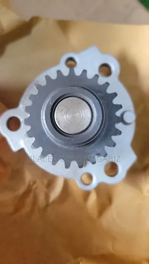 Complete Oil Pump Kia Rio 2018