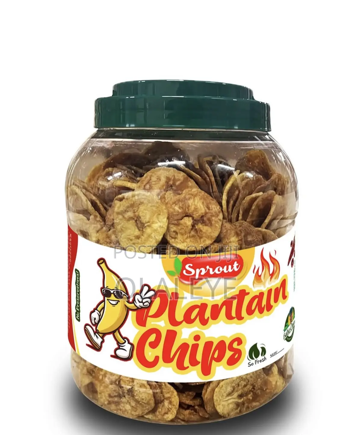 Sprout Plantain Chips