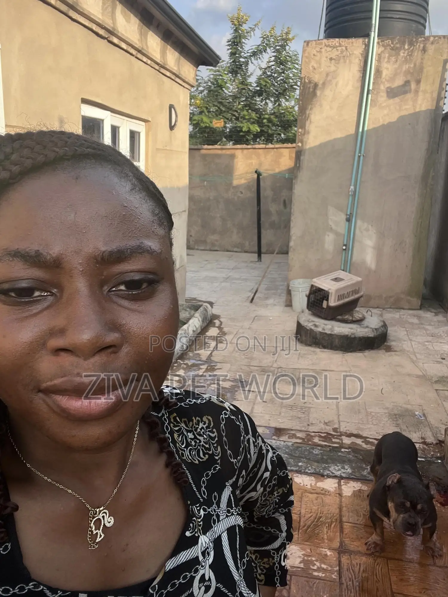 Veterinary Doctor in Ibadan