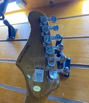 Smiger Lg-2 Pro S-Style Electric Guitar