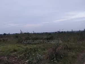 8 Acres Of Farmland For Sale – Km 5, Iseyin–Ogbomoso Road