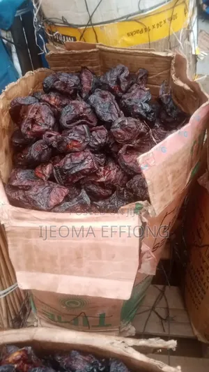 Best Oron Crayfish and Prawns From Akwa Ibom
