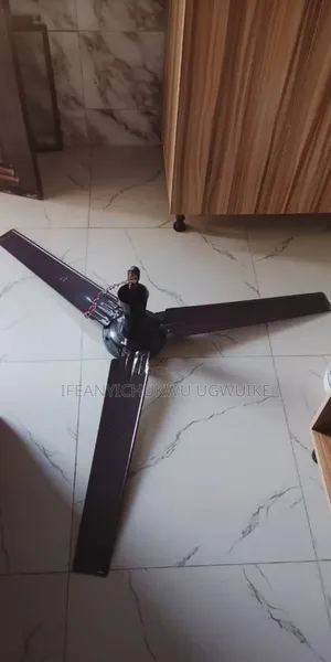 Ceiling Fan