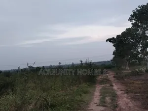8 Acres Of Farmland For Sale – Km 5, Iseyin–Ogbomoso Road