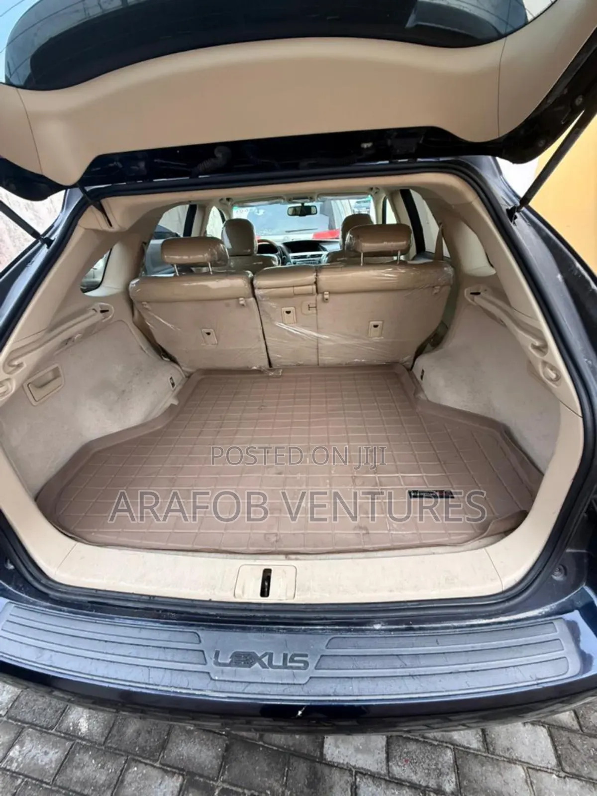 Lexus RX 2010 Blue