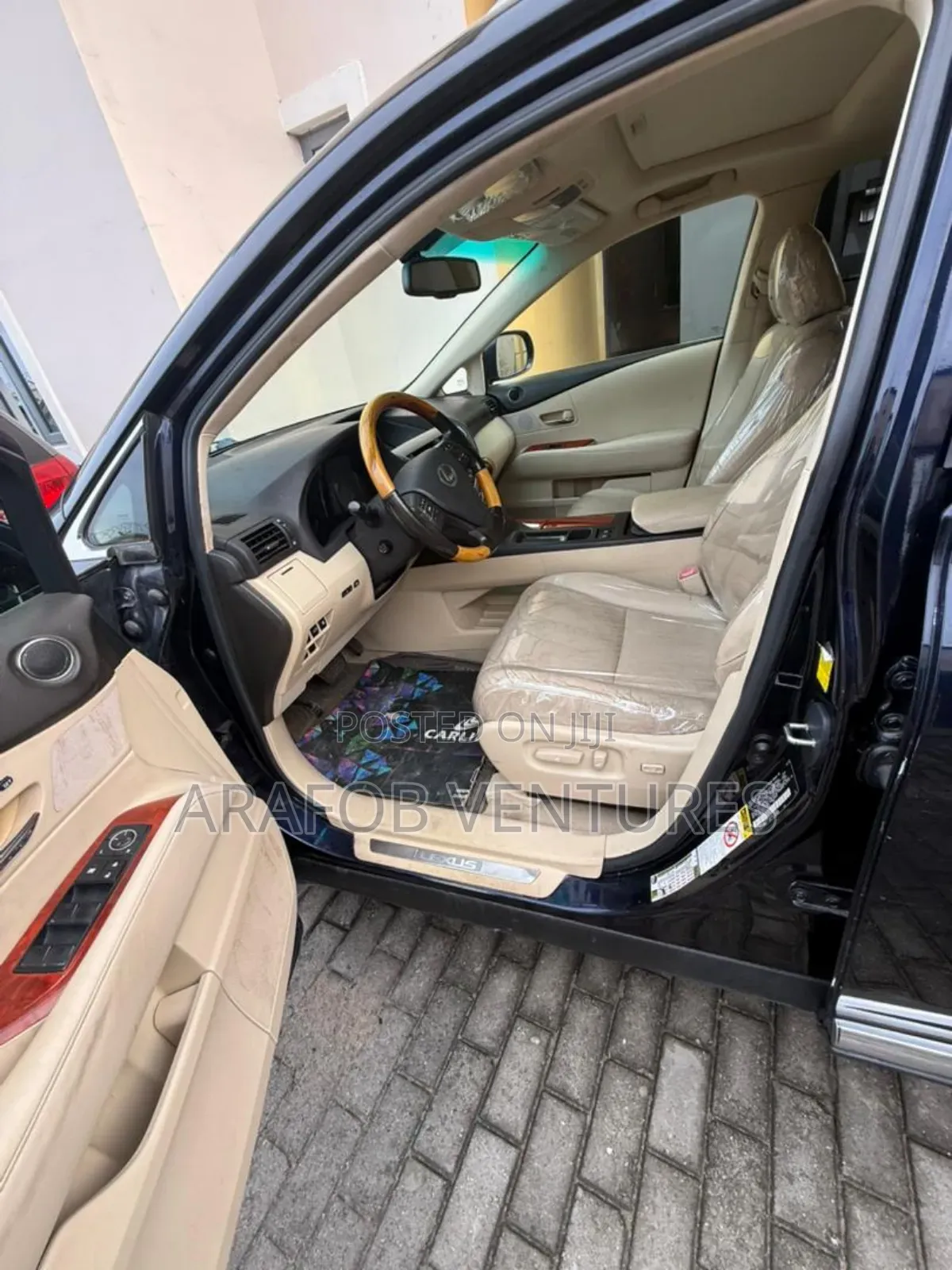 Lexus RX 2010 Blue