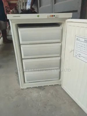 Liebherr Table Top Freezer for Block or Home Use