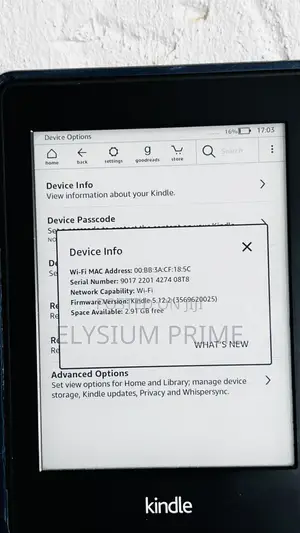 Amazon Kindle Paperwhite 4 GB Black