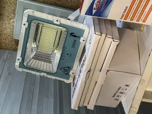 200watts Solar Flood Light(Flames)