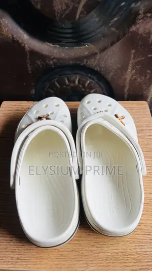 Crocs Clogs