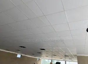 Suspended Ceiling