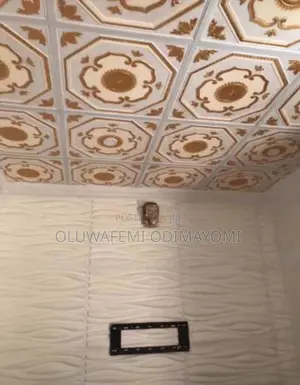 Suspended Ceiling