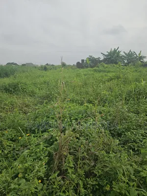 6.01 Hectares At Guzape 2 Abuja