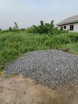 Half Plot at Omo Asegere Street Ogudu Town Lagos 55 Million