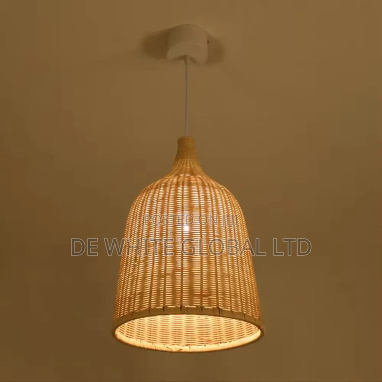 Chinese Style Light