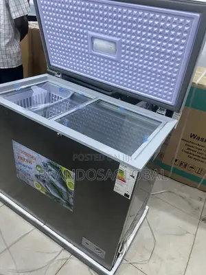 Snowsea Bd-308 220l Chest Freezer With Thick Insulation