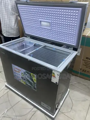 Snowsea Bd-308 220l Deep Freezer With Lock Key