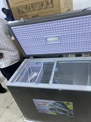 Snowsea 220l Chest Freezer Bd-308 With Powerful Compressor