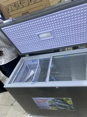 Snowsea Bd-308 Energy Saving 220l Chest Freezer