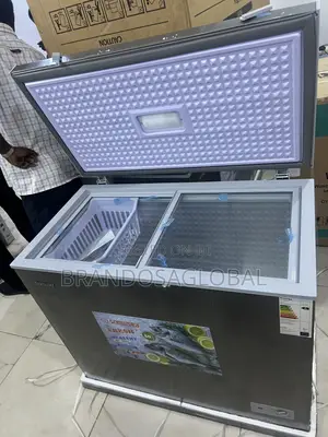 Snowsea Bd-308 220l Deep Freezer Silent Operation