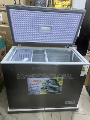 Snowsea Bd-308 Large 220l Freezer for Frozen Food Storage