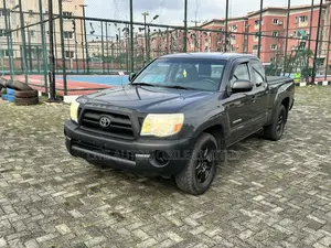 Toyota Tacoma Regular Cab Automatic 2010 Gray
