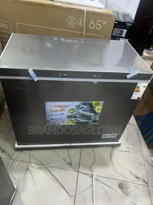 Snowsea 220l Bd-308 Freezer With Energy Saver Technology