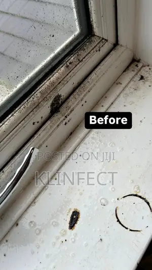 Professional and Perfect and Deep Cleaning