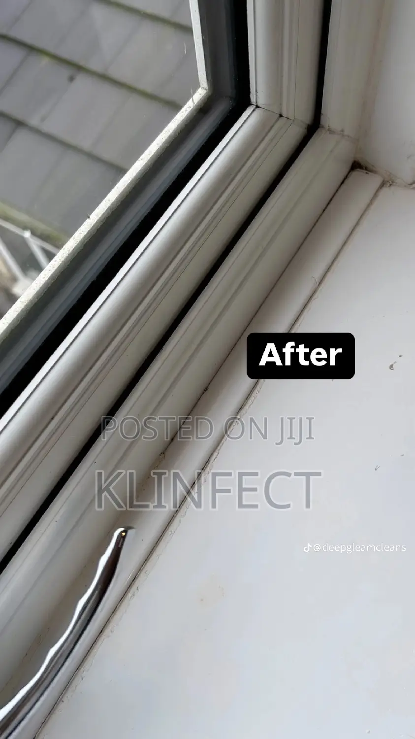 Professional and Perfect and Deep Cleaning